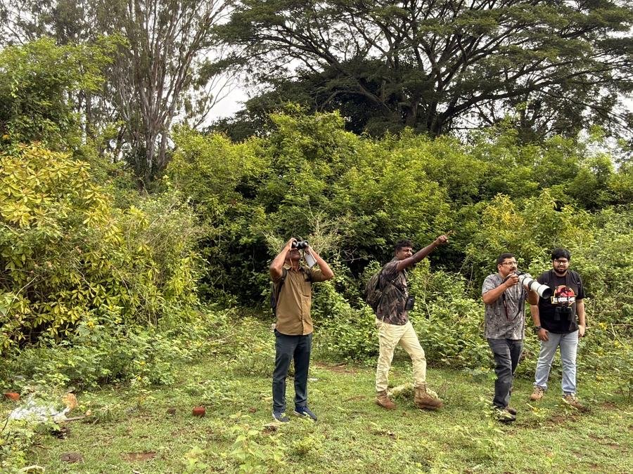 Group of birdwatchers with binoculars and cameras on a guided birding walk
