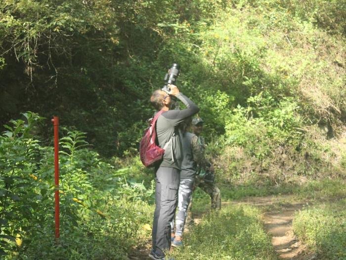 Birdwatcher with binoculars on a forest trail