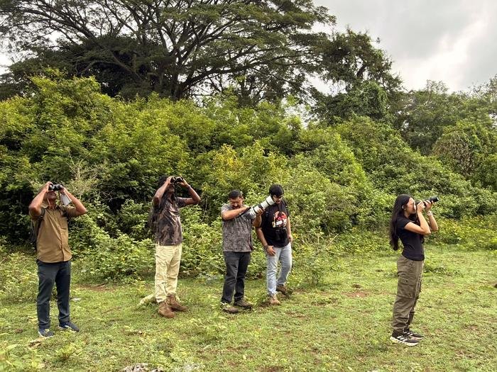 Birdwatchers and photographers scanning the treetops