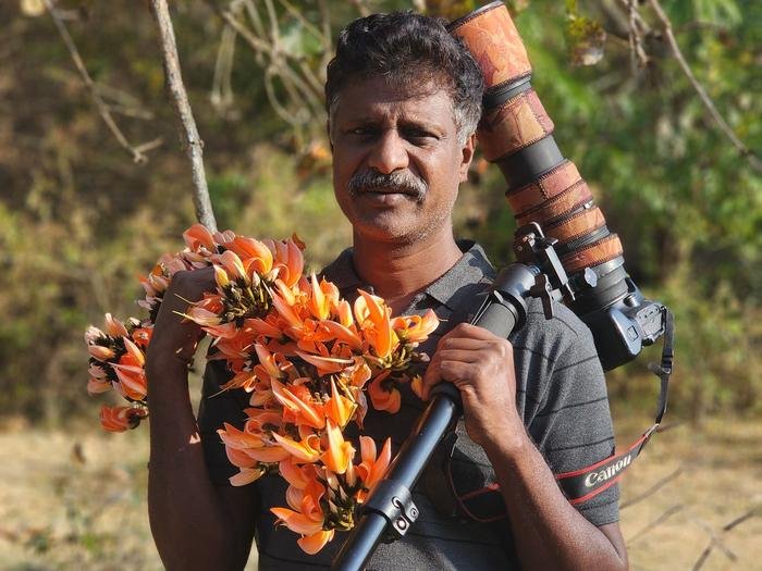 Photographer holding flame-of-the-forest blossoms with a telephoto lens