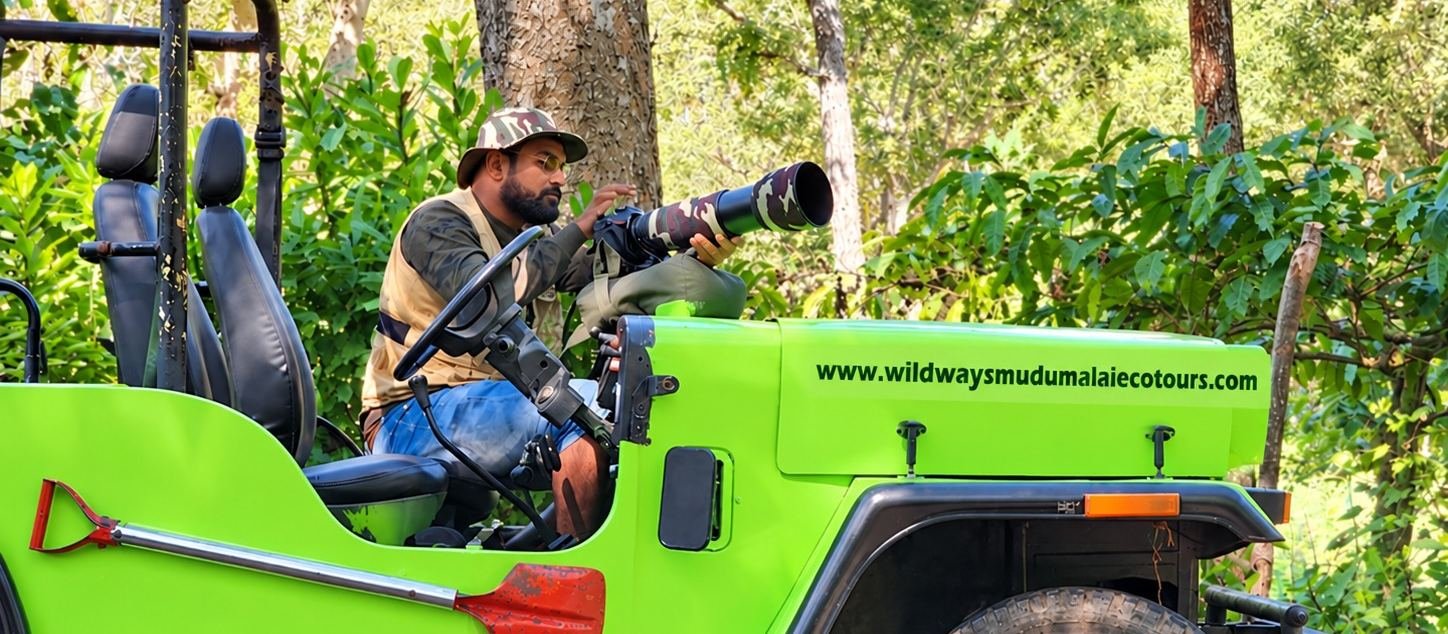Wild Ways safari jeep with a wildlife photographer in the forest