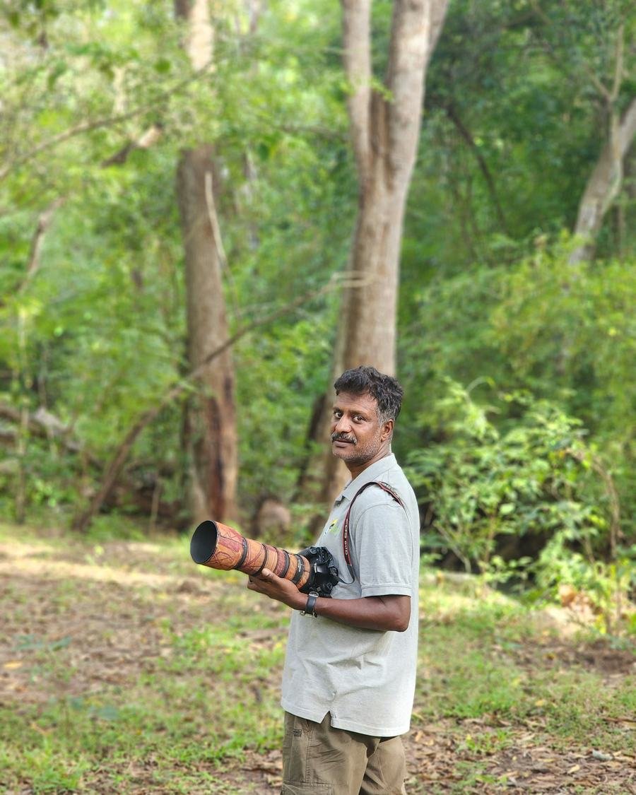 Wildlife photographer with a telephoto lens in the forest