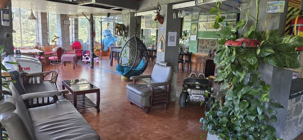 Bright lounge with sofas, swing chairs and indoor plants