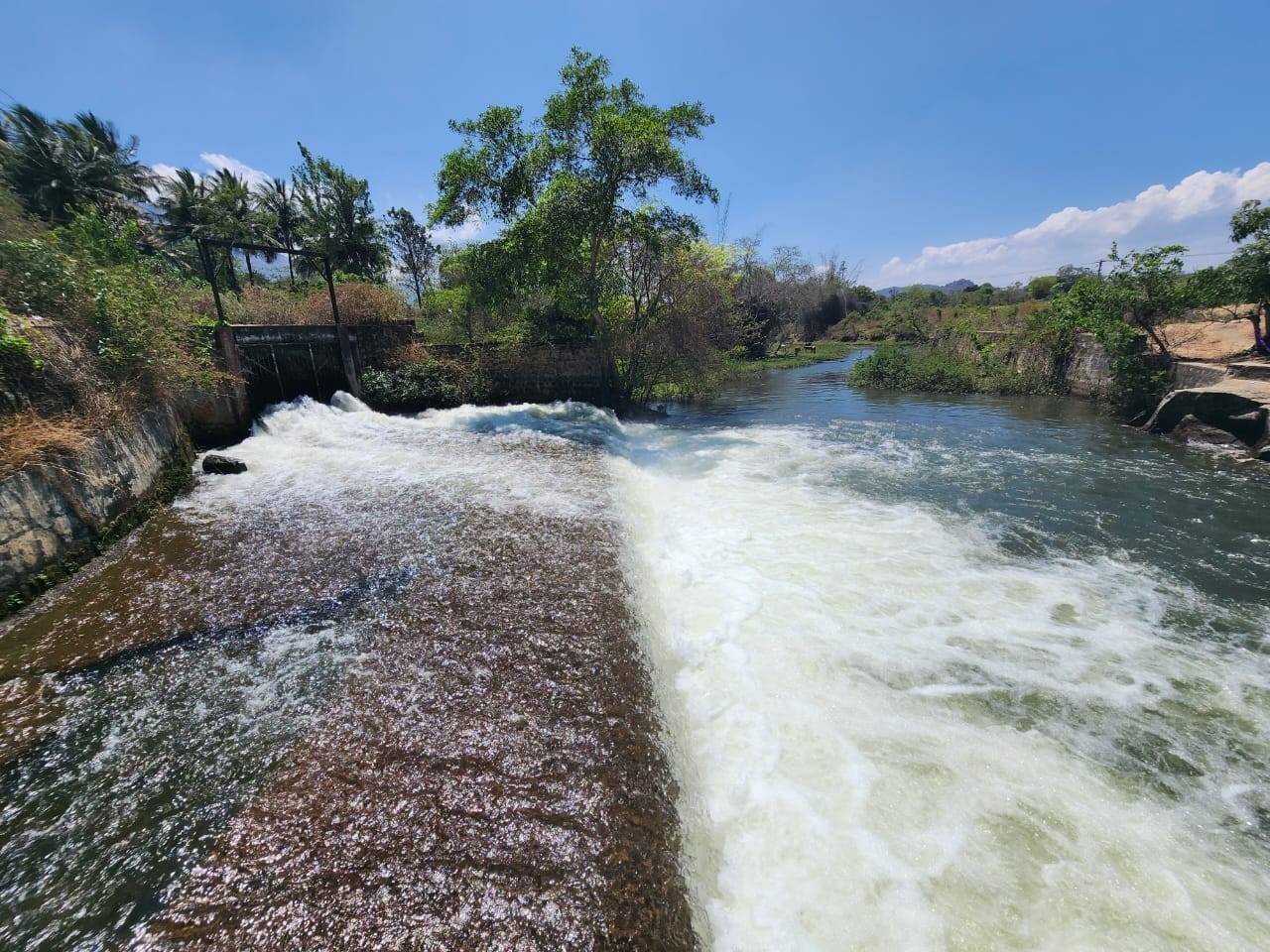 River flowing over a stone weir among green trees near Masinagudi