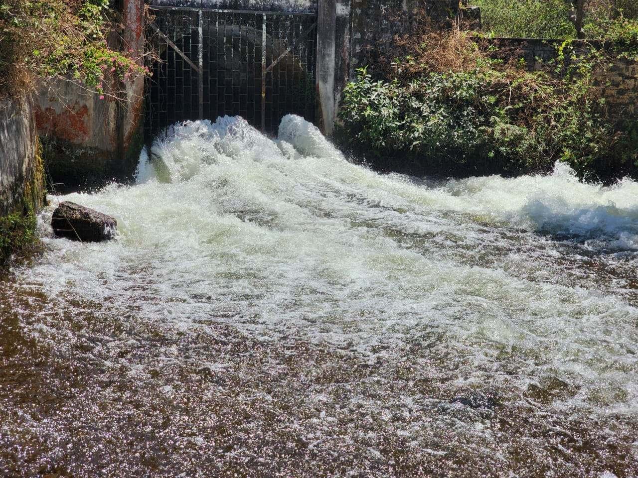 White water rushing through a forest sluice gate